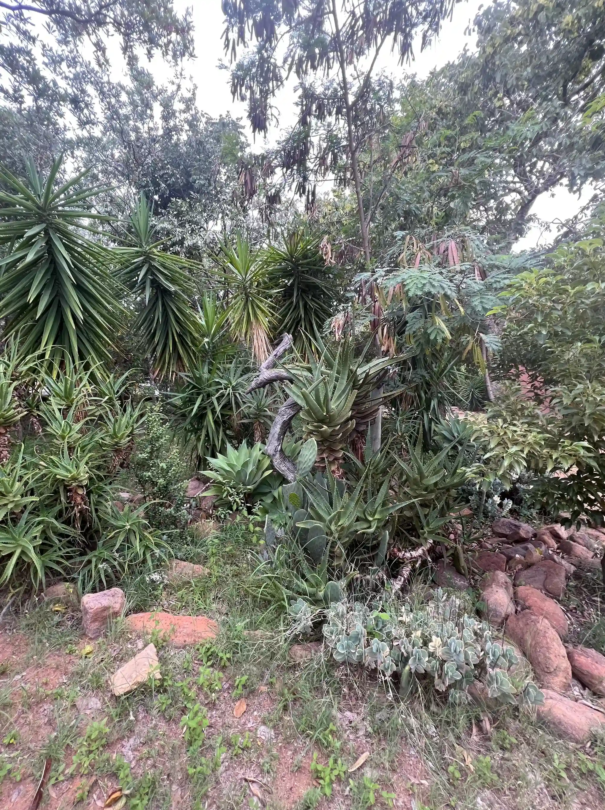 Curso de Cazador Profesional - Imagen 4